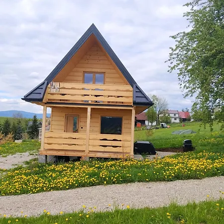 Niedzwiedz * Groń